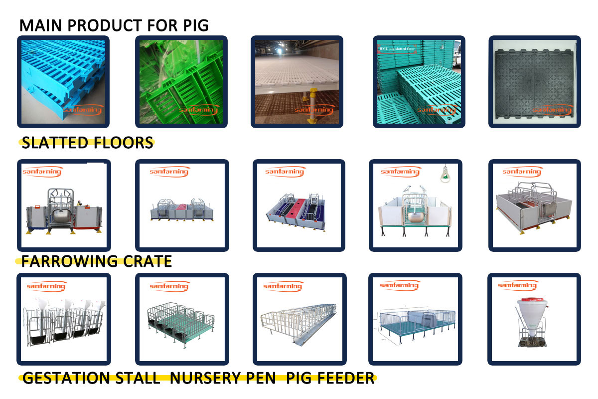 pig farming equipment