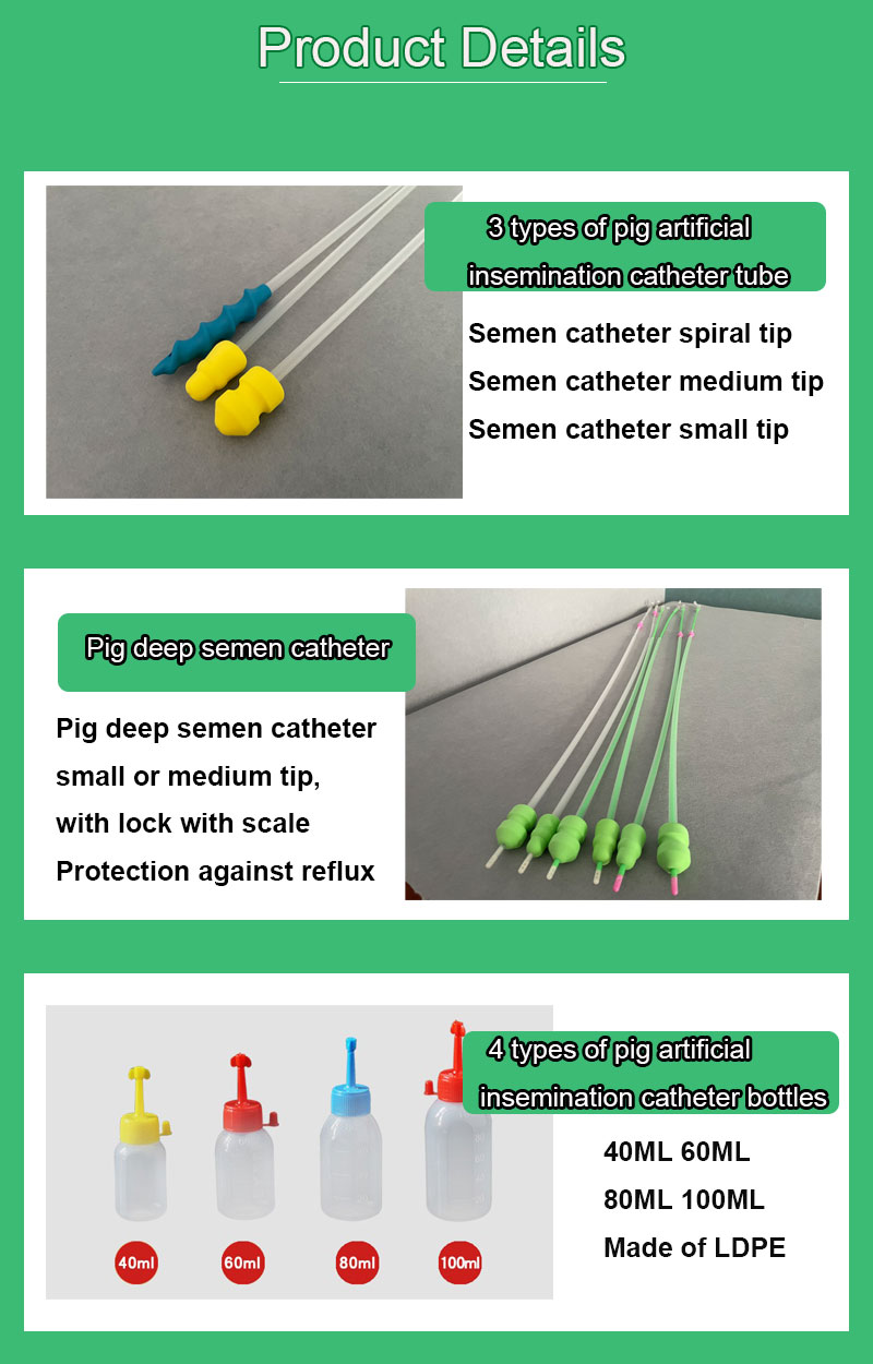 artificial insemination for pigs