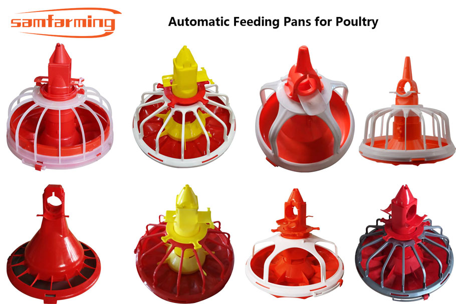poultry feeder