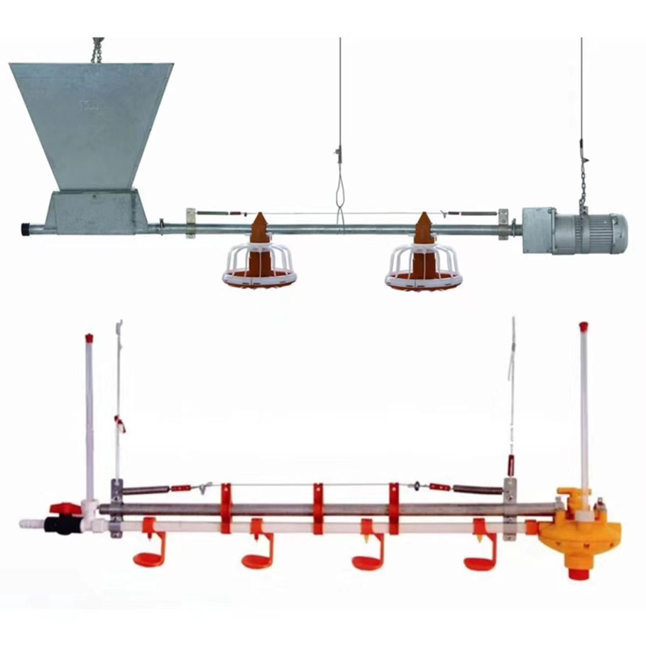 Automatic Feeding Systems