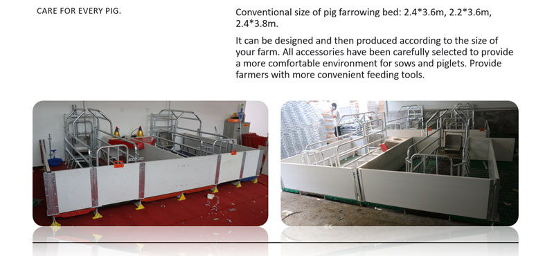 farrowing crate for pigs