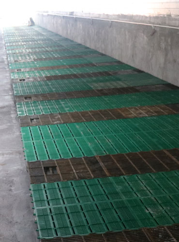 pig slatted floor