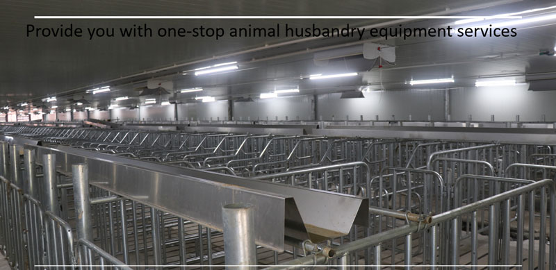 Pig Limit bar