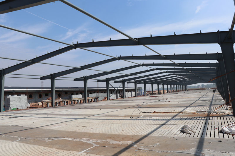 Modern pig farm