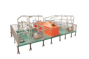 farrowing crates