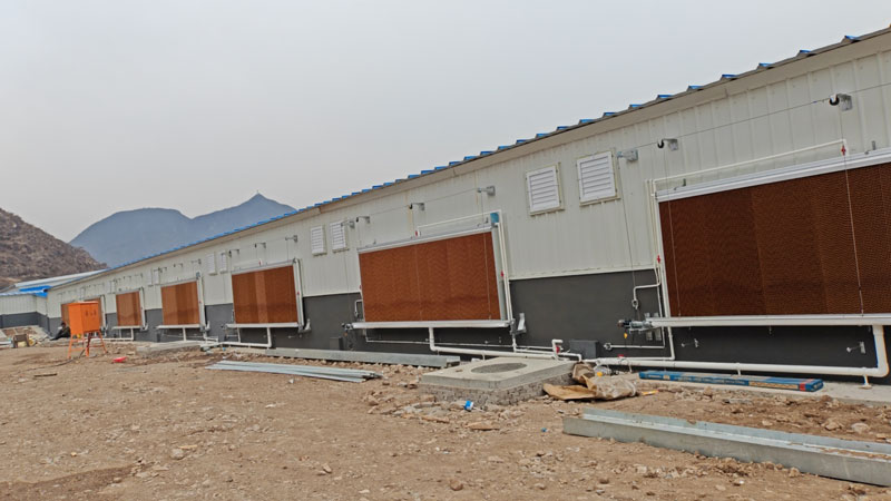 Modern pig farm