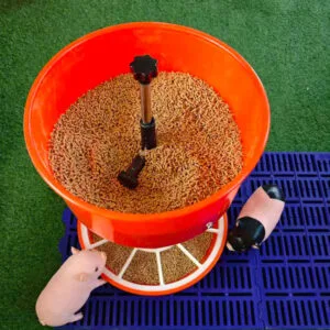 piglet-feeder